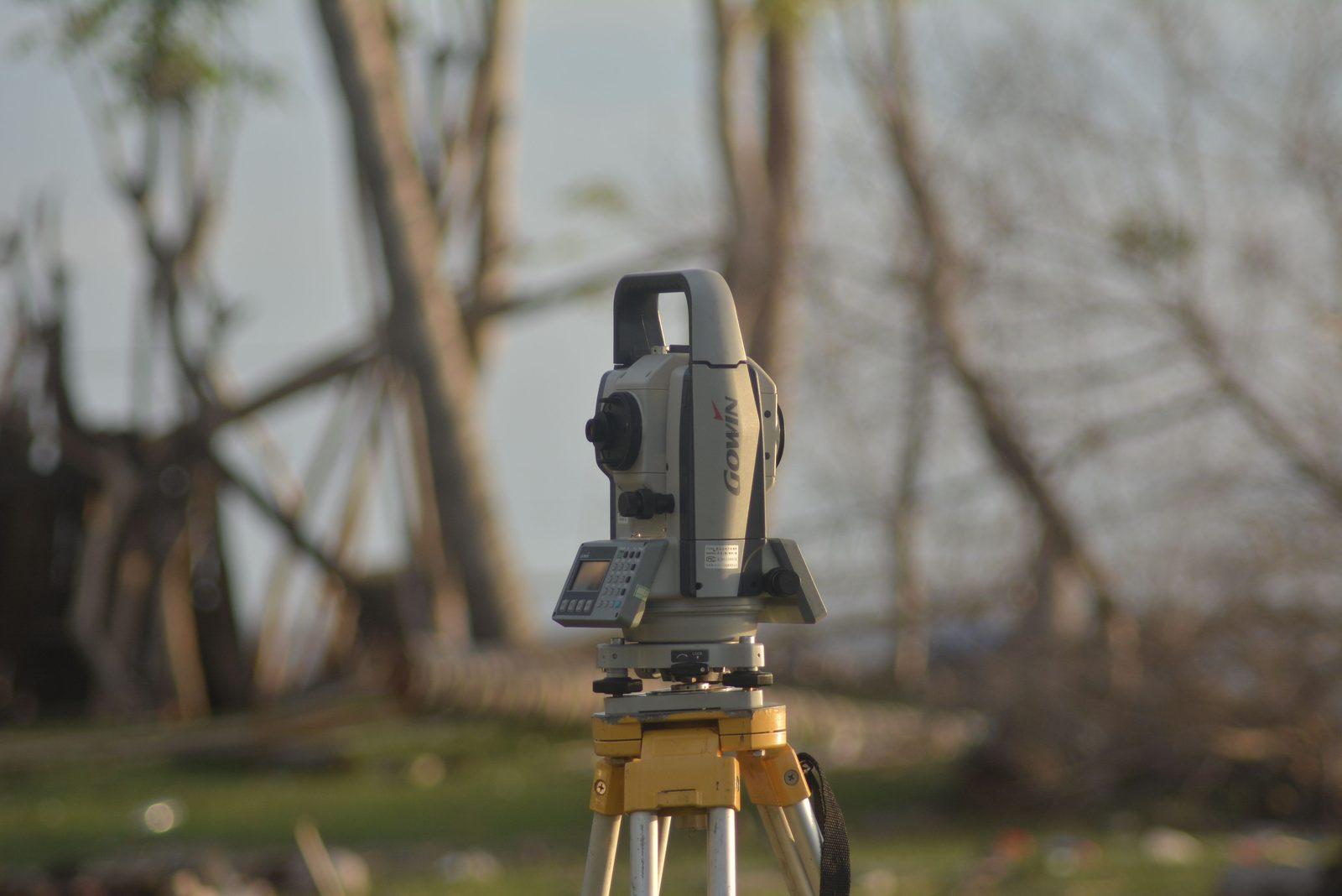 Surveyor