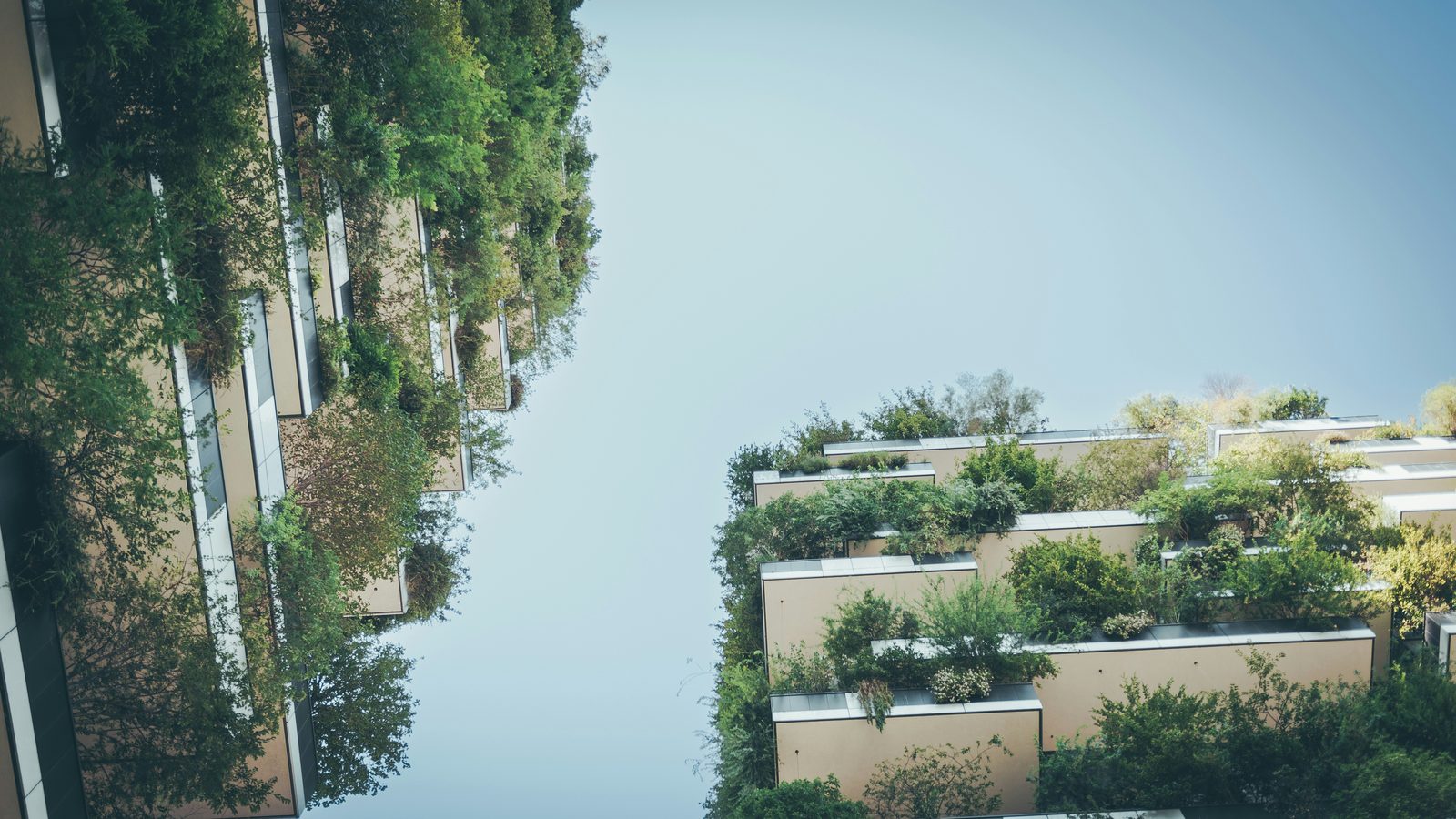 Sustainability / LEED Consultant